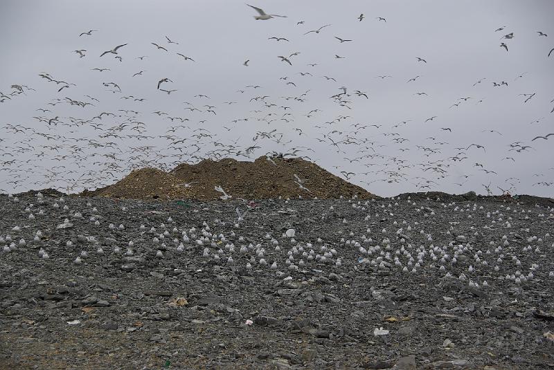 012409 Waco Landfill 015.jpg